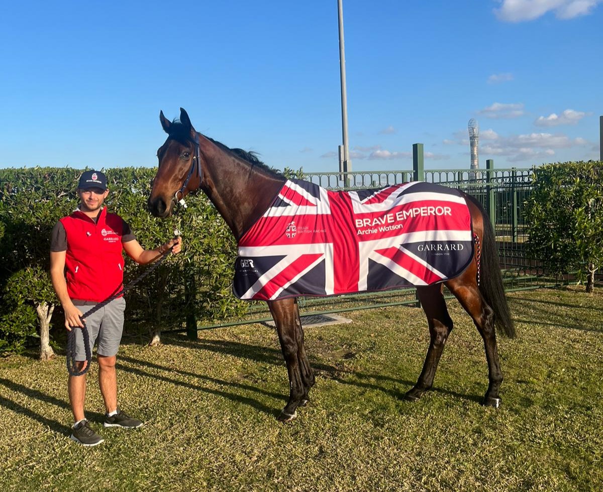 BRAVE EMPEROR bids for victory in Qatar on Saturday during the H.H The Amir Sword meeting. 🇬🇧✈️🇶🇦 The globetrotter trained by @Archie_Watson is already a Group winner in France, Germany & Italy. He is also Group-placed in Sweden. #TeamBritishRacing | @GarrardLondon