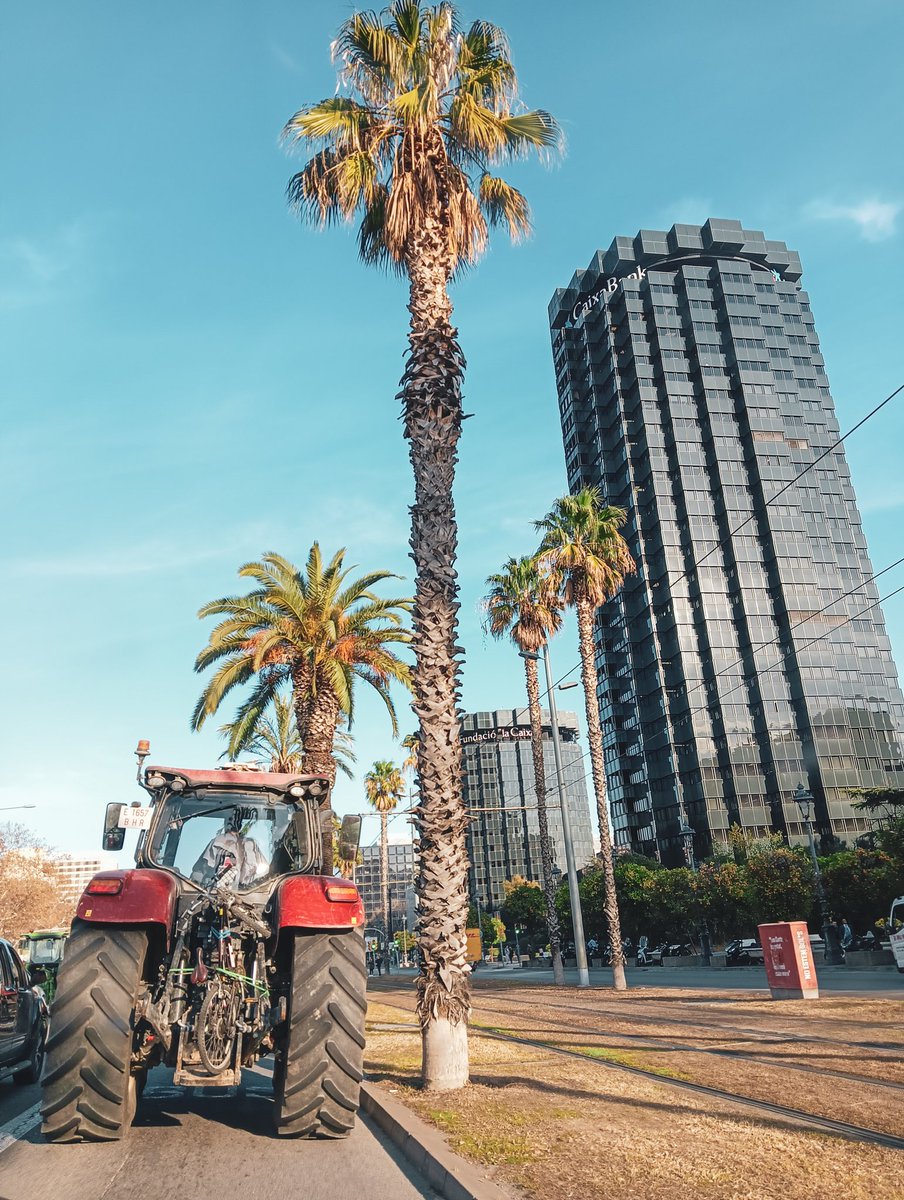 El sistema capitalista ha generat la pèrdua del 60% dels pagesos i ramaders en els últims 20 anys. Això no només afecta al teixit social local, sinó que posa en perill la diversitat alimentària i la sostenibilitat ambiental. Potser és hora de repensar quin model econòmic volem.