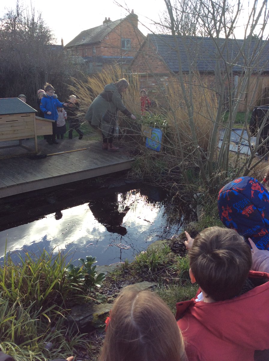 farndon_primary's tweet photo. Foxes had to follow the clues to find some mysterious items buried. #firefire #historydetectives https://t.co/pXAh2OMjn7