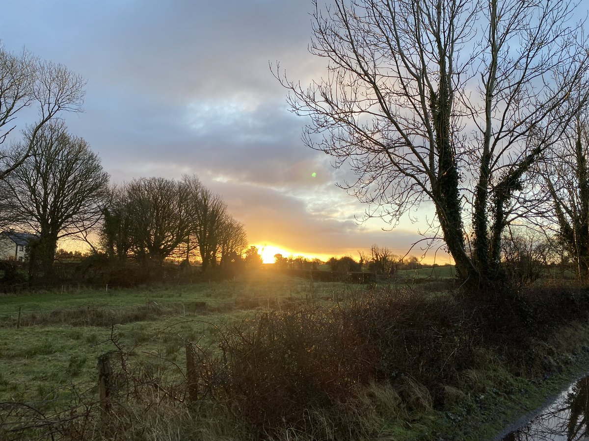 kellyswalk2rome's tweet photo. A great way to start the week. A lovely early morning walk around beautiful Meelick.
15km
One of my favourite local walks
Hope ye all have as wonderful a start to yer week
#kellyswalks #walkkellywalk #mayotrails #northmayo #mayo #eastmayo #meelick #swinford #walkking #mayodotie https://t.co/Gt7dZ3G5aO