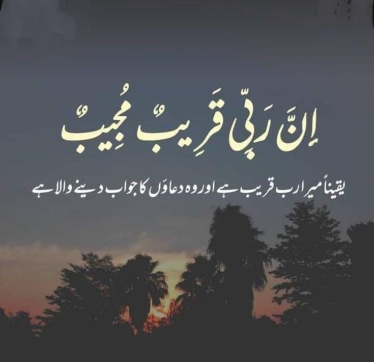 Assalam Alekum
Good night X family
Beshak 🕋🕋🤲🤲