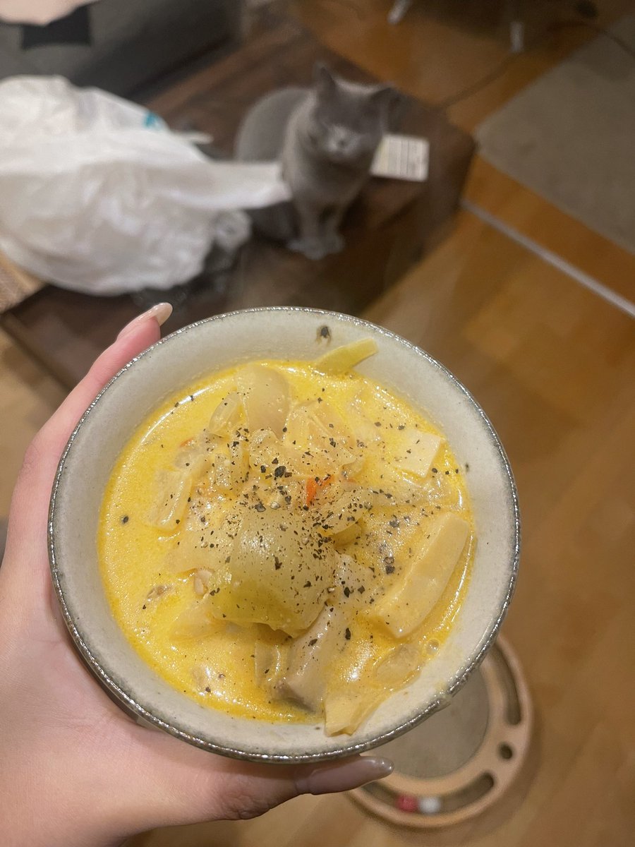 berrypch's tweet photo. またキッチンでごはんたべてる。
今日はミルクスープ
それはそうと猫たちになんで飼い主だけあったかくて美味しいもの食べてんだよおかしいだろと言われた気がしたので、今週末は炊飯器で猫のご飯つくろ。。ぎゃる✌️ https://t.co/P07POawLkR