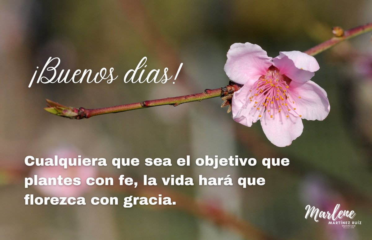 ¡#Buenosdías!
