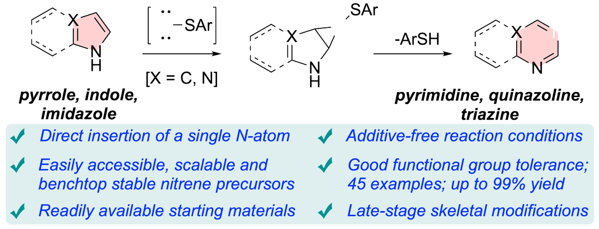 Please check our Preprint on Skeletal Editing using unique Sulfenylnitrenes, which allow selective single Nitrogen-Atom Insertion into Pyrroles, Indoles, and Imidazoles for their late-stage functionalization. #Skeletal Editing View Preprint: chemrxiv.org/engage/chemrxi…