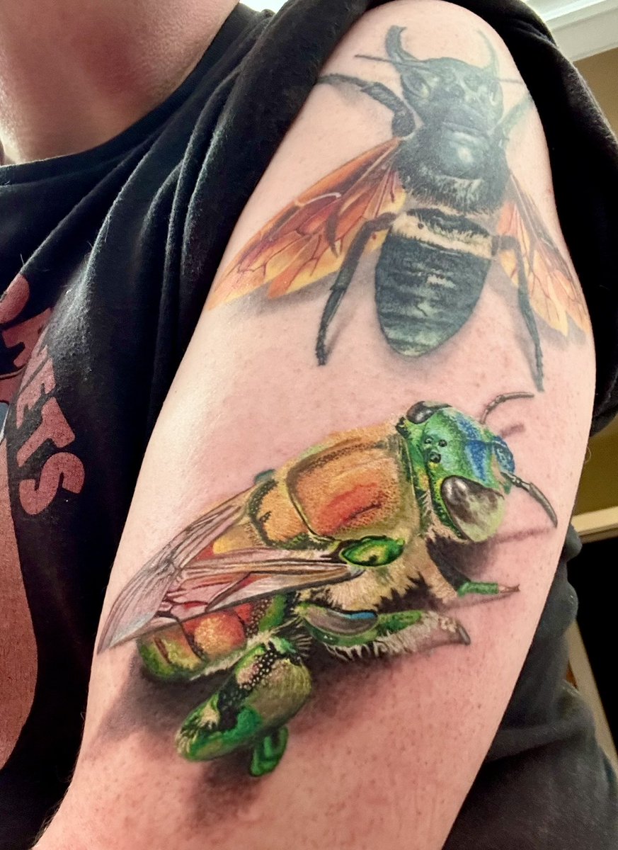 Got a new orchid #bee tattoo last night, based on a beautiful photo by <a href="/wizentrop/">Gil Wizen</a> . I’m really pleased with how it came out.