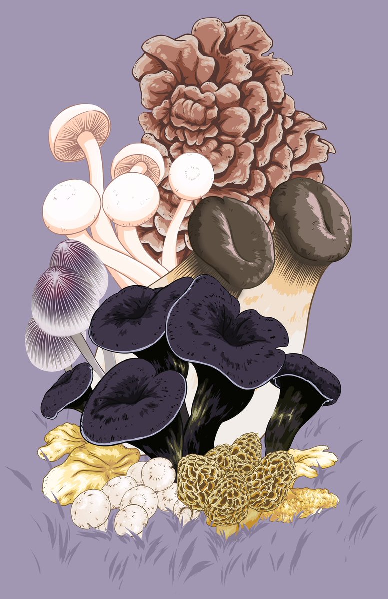 comicenginealex's tweet image. One of my favorite commissions I’ve made! Can any of you name the mushroons in this image!?