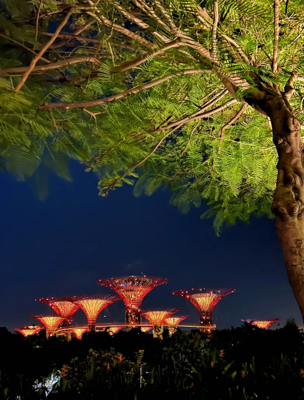 The annual Chinese New Year Lantern Festival at Gardens by the Bay
