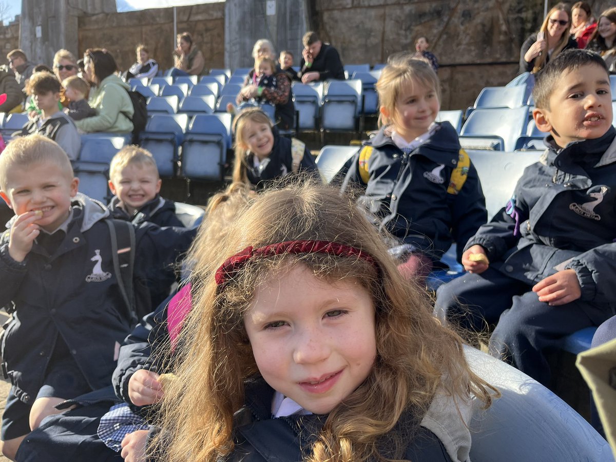 BelMiles73's tweet photo. Reception are having great fun in the sunshine at West Midlands Safari Park. We are currently waiting for the Sea Lion show. @winterfoldhs #winterfoldreception #bringinglearningtolife https://t.co/dzYaMWJYB5
