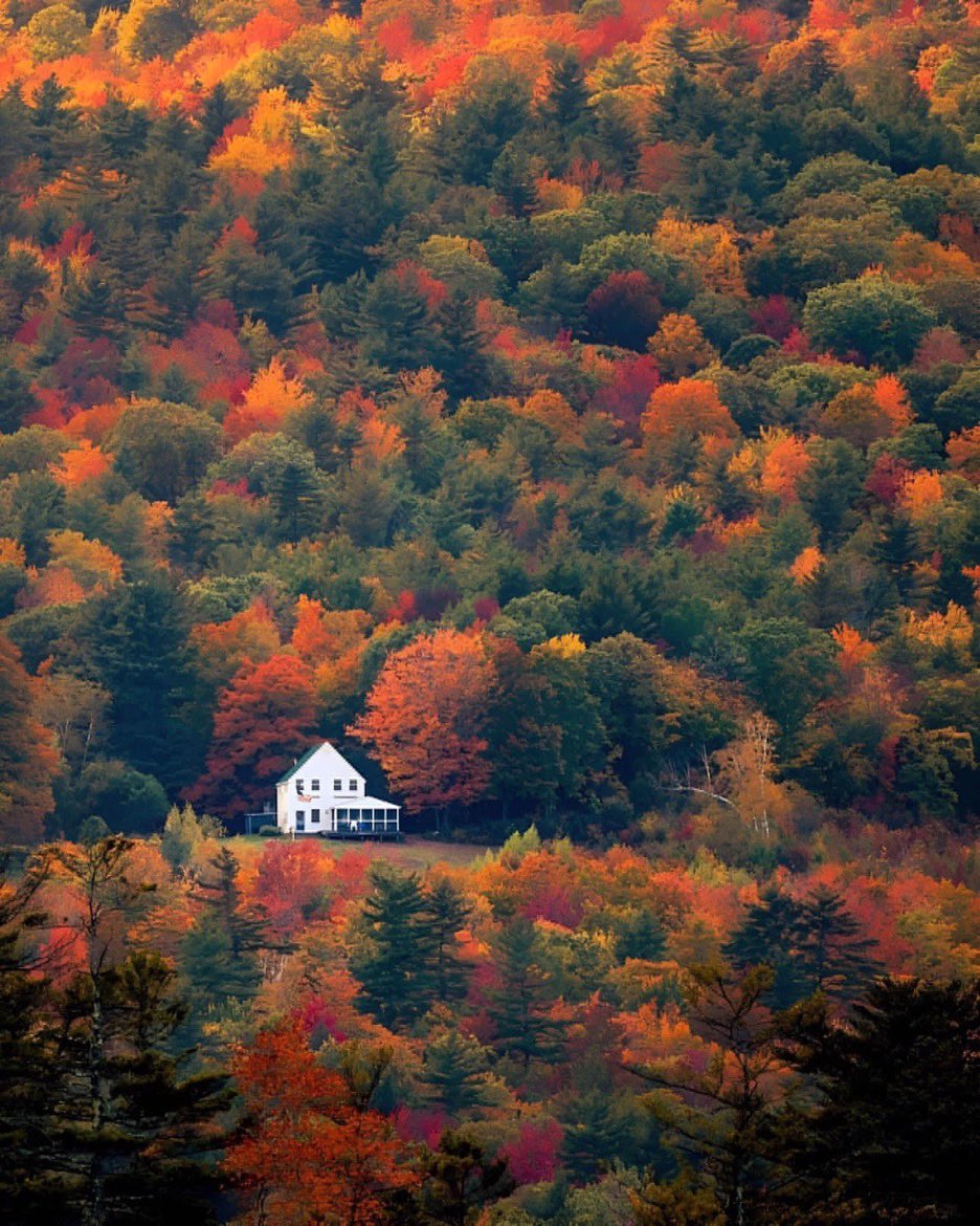 pa_pezz's tweet photo. New Hampshire https://t.co/vIkmDqkLir