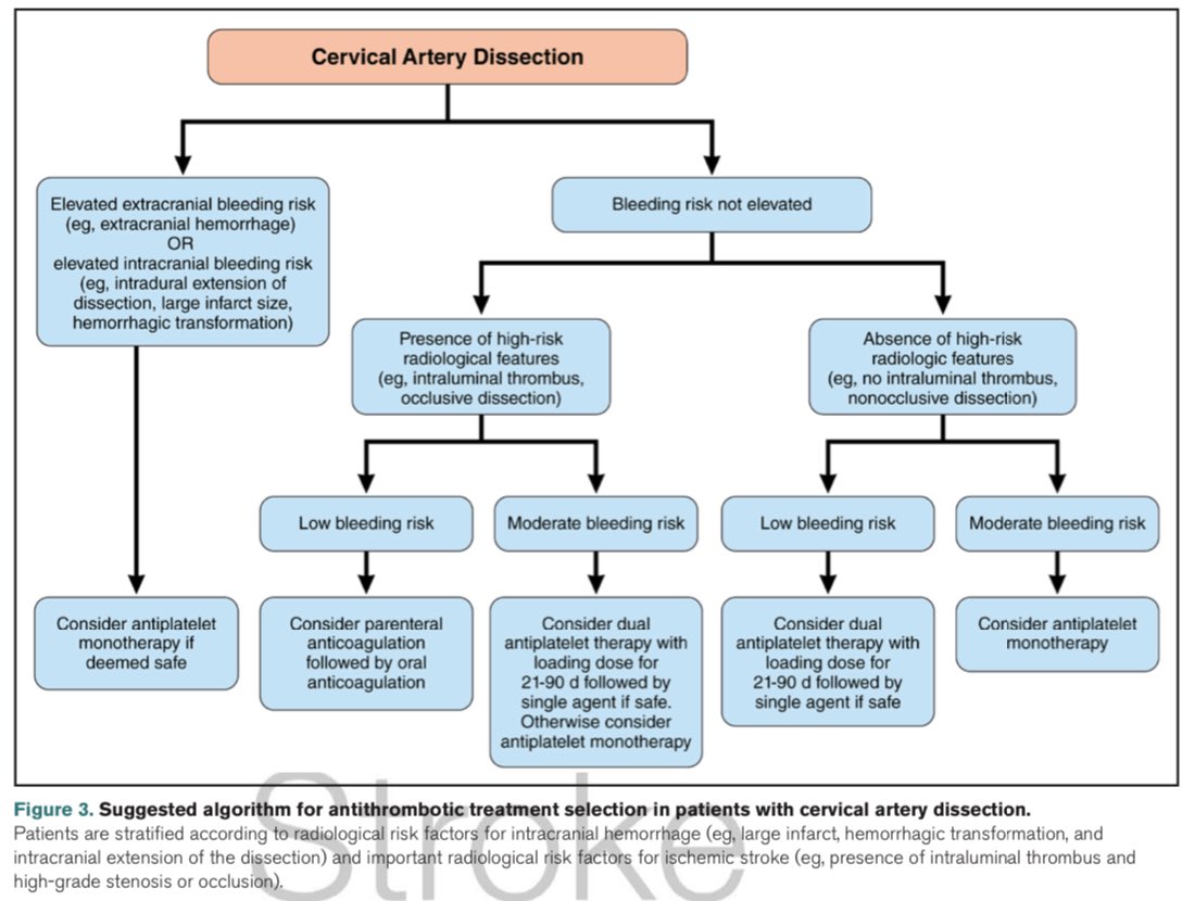 Interpretation: one size does not fit all. Refer to the scientific statement algorithm. Prefer AC in high AIS risk groups but low🩸 risk &amp; limit to 30 days (no more than 90 days) if doing so. AP in low risk groups or high🩸risk. Prefer DAPT &gt; SAPT. ahajournals.org/doi/10.1161/ST…