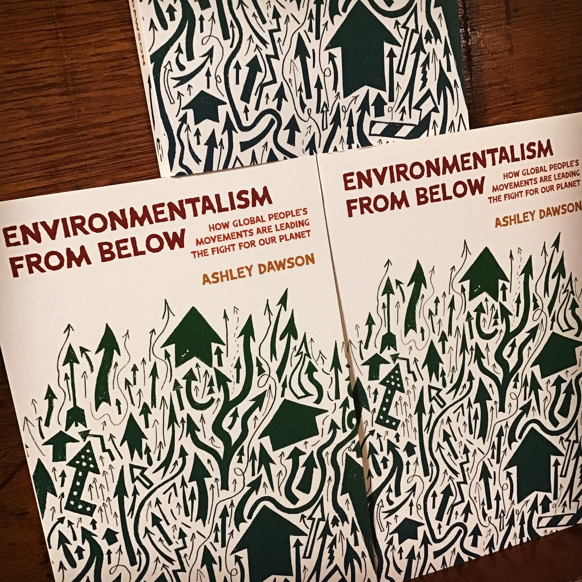 “Environmentalism from Below takes readers inside the popular struggles for environmental liberation in the Global South… a hopeful alternative to the gridlock of UN-based climate negotiations & the narrow nationalism of some Green New Deal efforts.” burningbooks.com/products/envir…