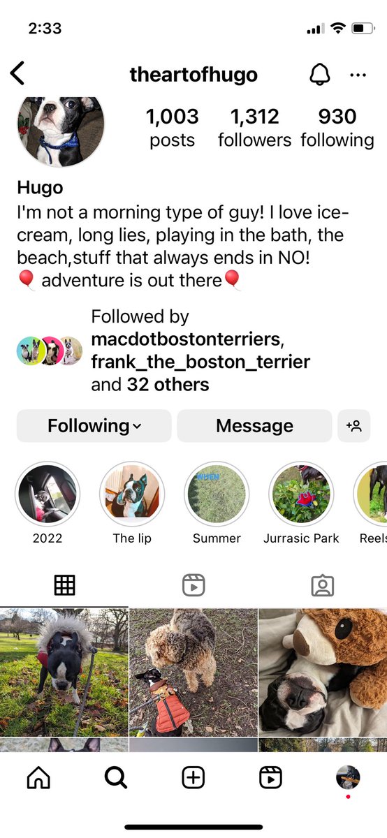 colourinner's tweet photo. @_Hels_ @MooseAllain Hi , on instagram I follow ‘Hugo’ who is a Boston terrier who lost his sight , their account shows how much he does still ! X Giddy https://t.co/pCENqcJnlm