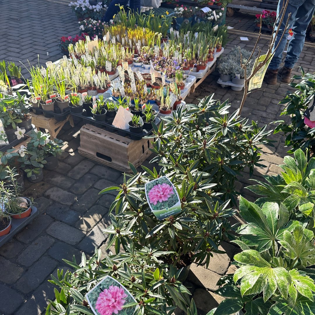 Ludlow Market tweet media