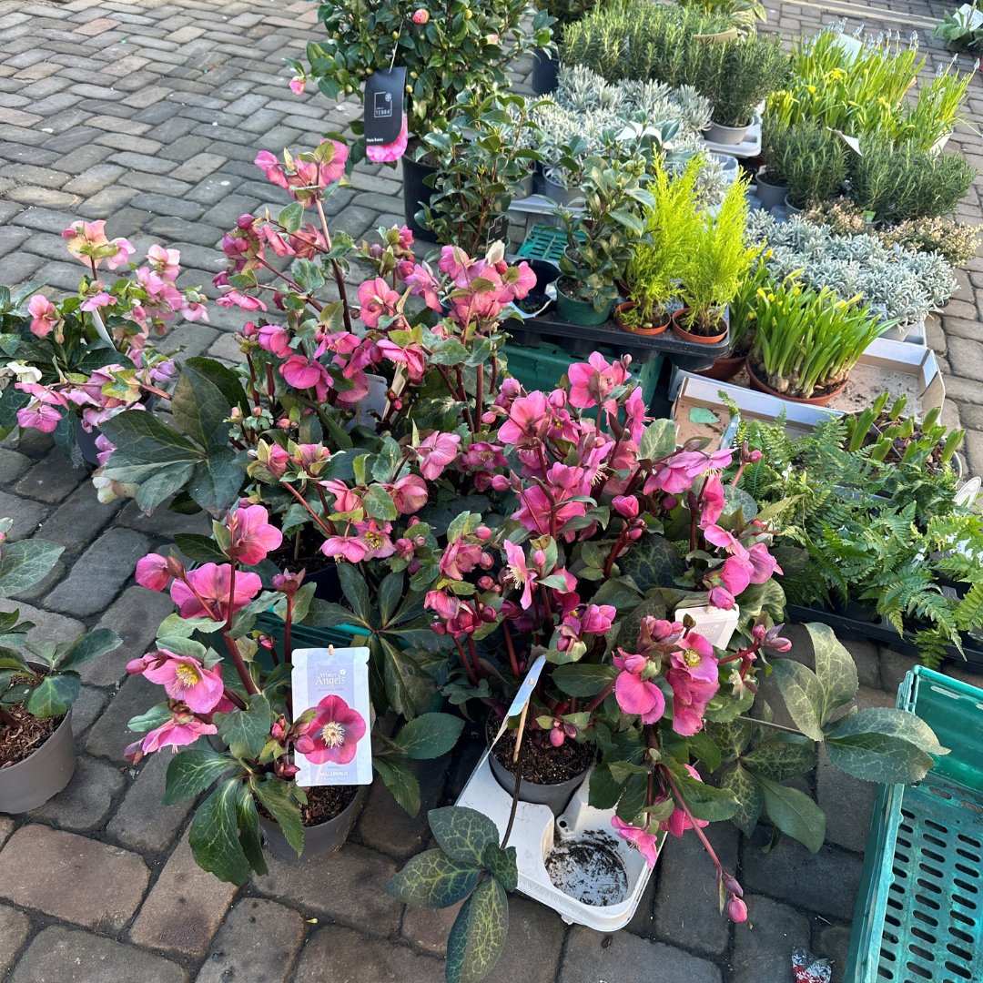 It's a lovely day for a Market! 

Regular Markets: Today, Wednesday, Friday and Saturday. 

#Loveludlow #visitludlow #visitshropshire #Ludlowmarket