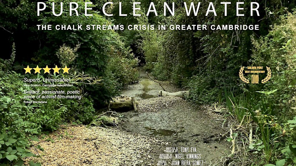 Bonkers Busway Cambs News tweet media