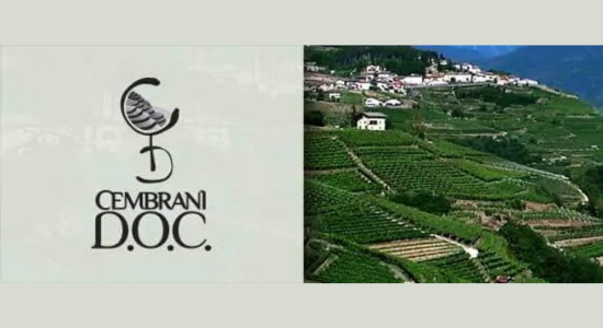 Il Consorzio Cembrani D.O.C., in Val di Cembra in provincia di Trento, è formato da cinque cantine e due distillerie

L’articolo completo, con le note di degustazione, al link:
italiadelvino.com/news.asp?id_ne…

#ConsorzioCembraniDOC #italiadelvinobertolli #valdicembra #trentino