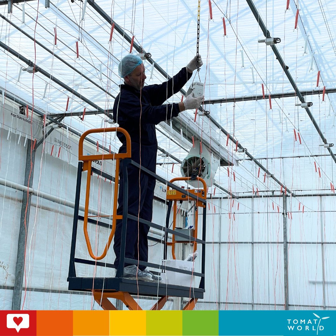 Tomatoworld (@tomatoworldnl) on Twitter photo On February 2nd, Rob from <a href="/vanderendegroup/">Van der Ende Group</a> installed a array of sensors within our greenhouse. These sensors are designed to monitor crucial factors like temperature and humidity. On February 2nd, Rob from <a href="/vanderendegroup/">Van der Ende Group</a> installed a array of sensors within our greenhouse. These sensors are designed to monitor crucial factors like temperature and humidity.