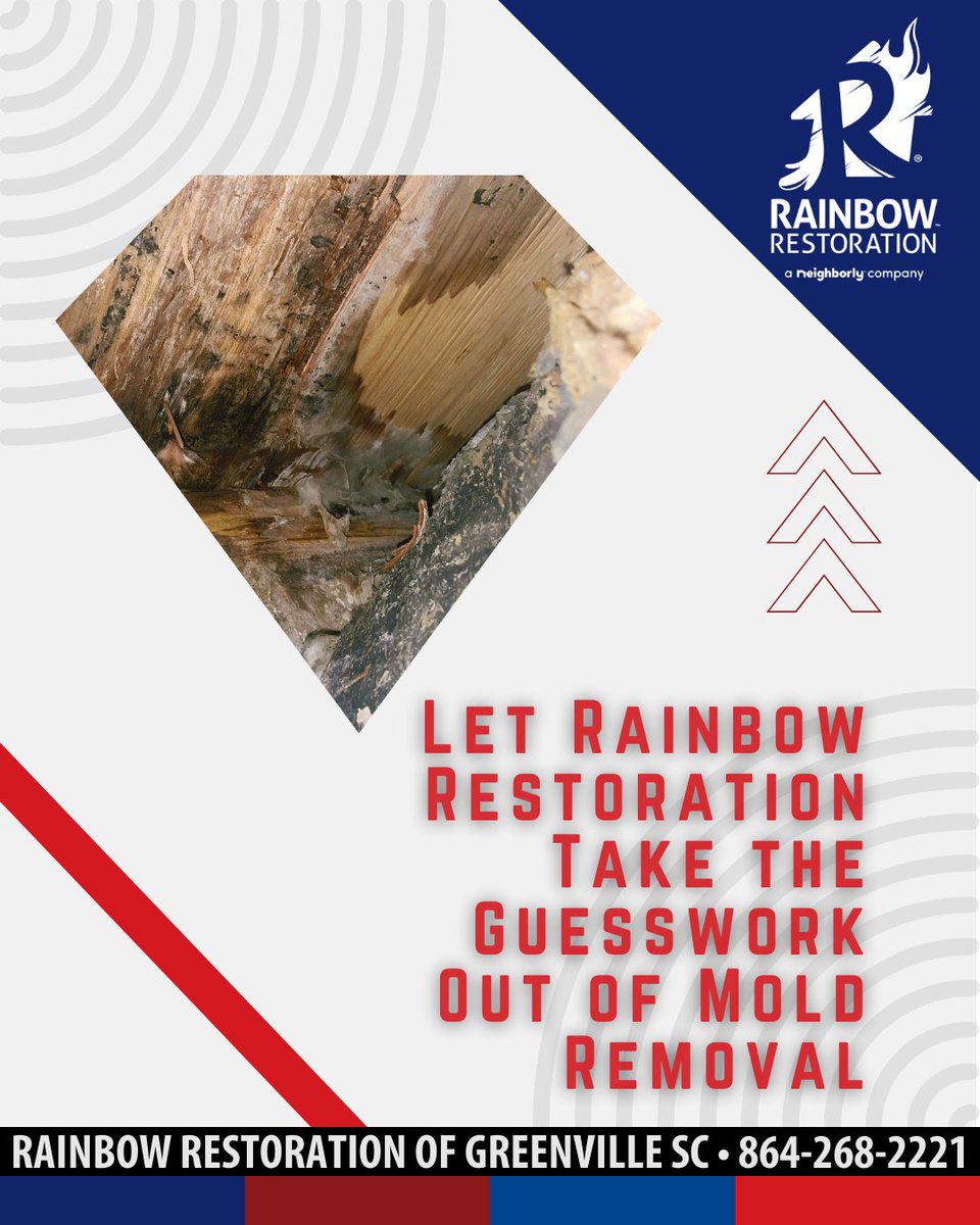 RRGreenvilleSC's tweet photo. Battling mold in your business space? π Stop the spread with Rainbow Restoration's certified mold removal services. π We get your property back to business-as-usual fast! #MoldFree #CommercialRestoration #CallUs 864-268-2221#Visit https://t.co/mOdJq54aIu https://t.co/ywt5dHEEeB