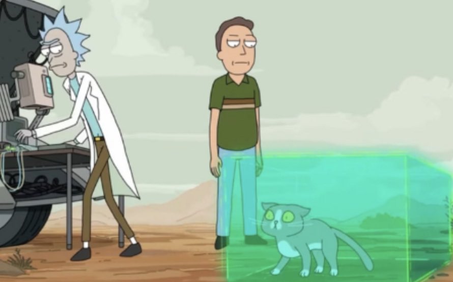 NYPRG's tweet photo. The way @RickandMorty  season 7 was tying up old story lines, I was really hoping to get an explanation for mysterious evil cat…. https://t.co/mnh7vMSCN5