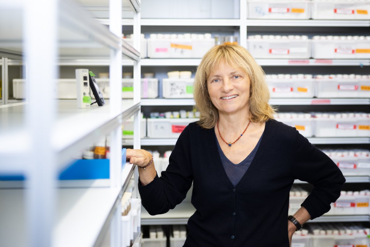 EMBL (@embl) on Twitter photo Anne Ephrussi retired from EMBL after a 32-year career doing key RNA research while leading a trailblazing postdoc programme.
Looking back, she supplied a few stories & a lot of insights into what she’s learned along the way. Read about it here: embl.org/news/lab-matte… 
#EMBL50 Anne Ephrussi retired from EMBL after a 32-year career doing key RNA research while leading a trailblazing postdoc programme.
Looking back, she supplied a few stories & a lot of insights into what she’s learned along the way. Read about it here: embl.org/news/lab-matte… 
#EMBL50