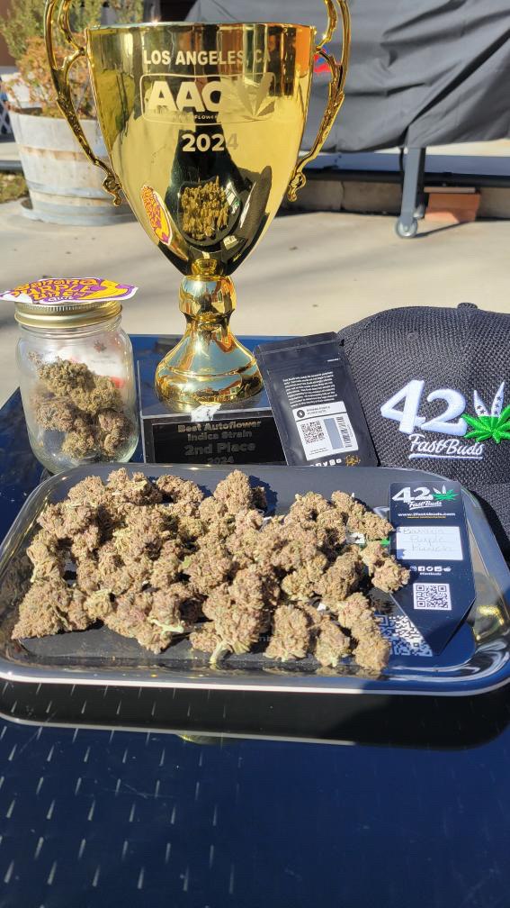 Fast Buds tweet media