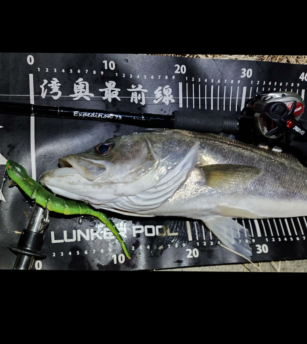 hentai_fishing's tweet photo. 蛇りまーす🐍🔥
#lunkerpool #湾奥最前線 #zenaq #EP73
#abugarcia #savagegear #サベージギアで釣ってみろ #3dwakesnake #バチパターン https://t.co/b86hFybUgO