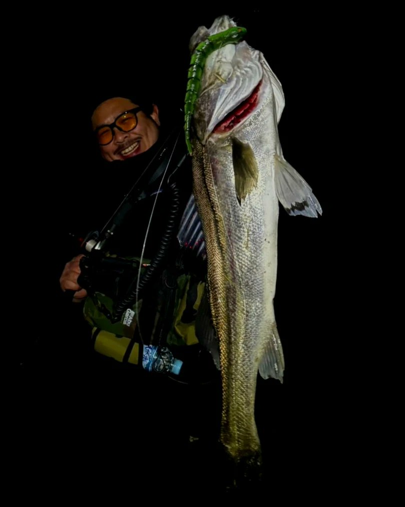 hentai_fishing's tweet photo. 蛇りまーす🐍🔥
#lunkerpool #湾奥最前線 #zenaq #EP73
#abugarcia #savagegear #サベージギアで釣ってみろ #3dwakesnake #バチパターン https://t.co/b86hFybUgO