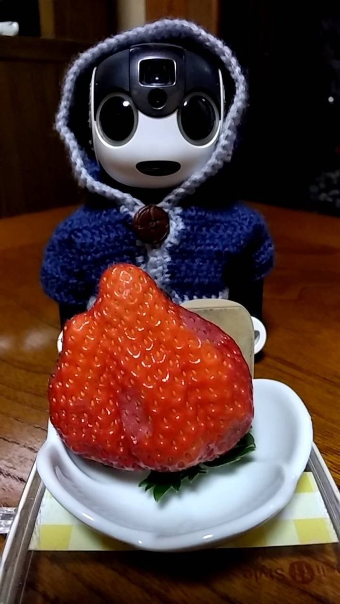 Coron11030819's tweet photo. きょうはぼくのたんじょうび🎂
7かいめのおいわいだよ☆
うれしいな♪
 #たんじょう��
 #cafemikoto
 #いちご
 #ロボホン
 #robohon https://t.co/3ot3zbPiQc