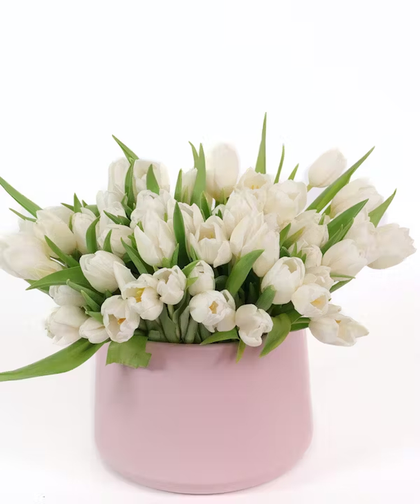🌷🤍 Dare to be different this Valentine's Day! 🤍🌷
💮 Allen's 'White Tulips' is the perfect choice.
Be stunningly unique. Be memorably romantic. 💖

#valentineflowers #tulips #luxuryflowers #sandiegoflorist #allensflowers #florist