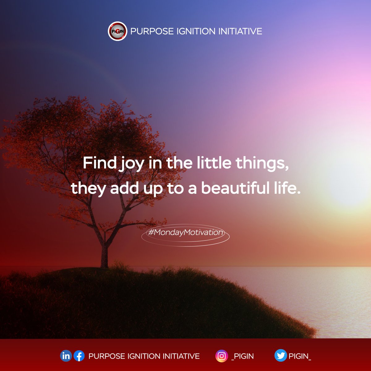 PIGIN_'s tweet photo. Find joy in little things for they are the colorful brush strokes that paints a beautiful life. βοΈπ¨
#PIGIN
#MondayMotivation https://t.co/8zqUmQc9pm