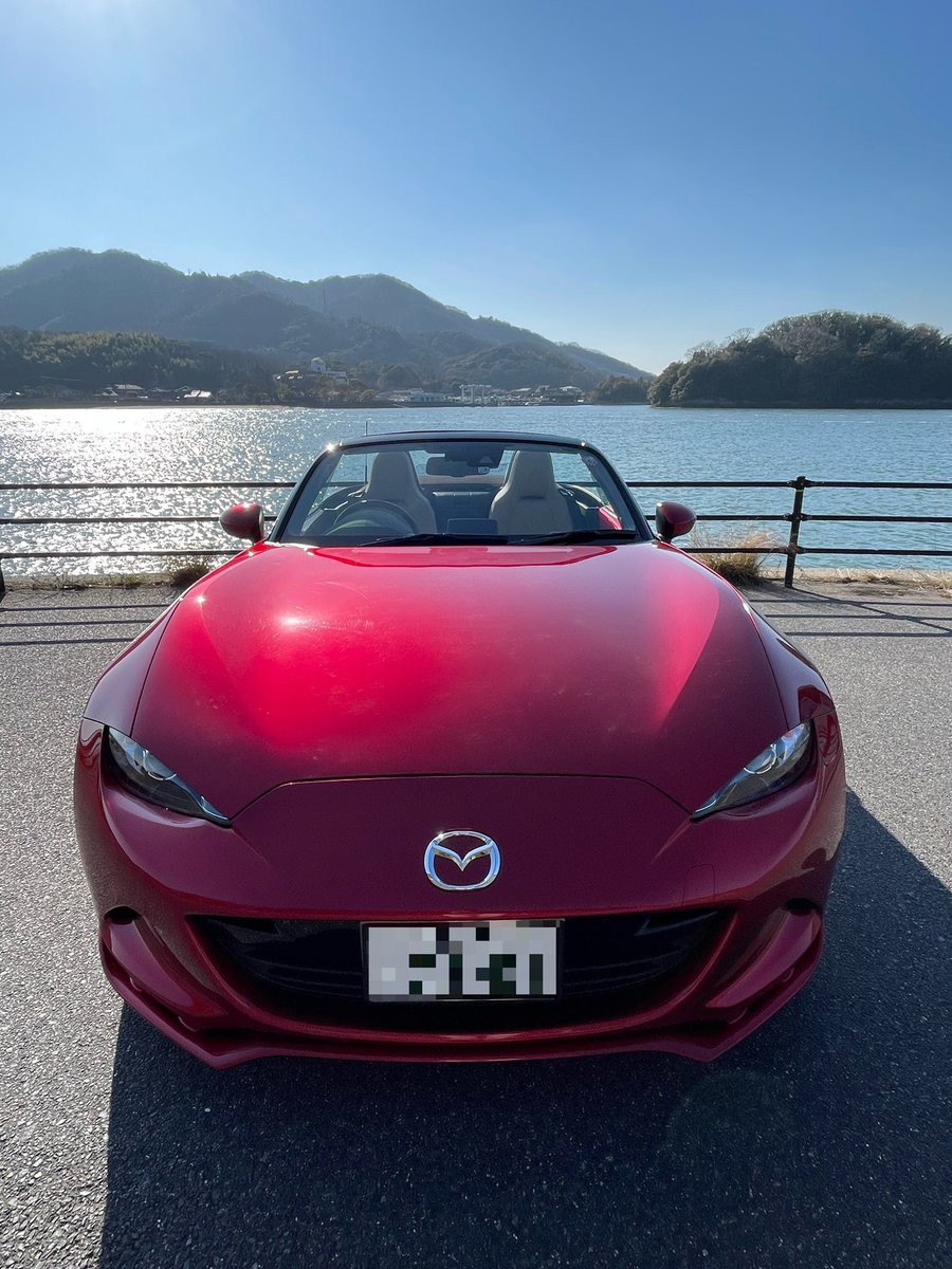 RedOutposts's tweet image. 真正面から
一つ目つきが悪いのがいる…
近くで広角で撮ると良くないというのを発見😅
#NDロードスター