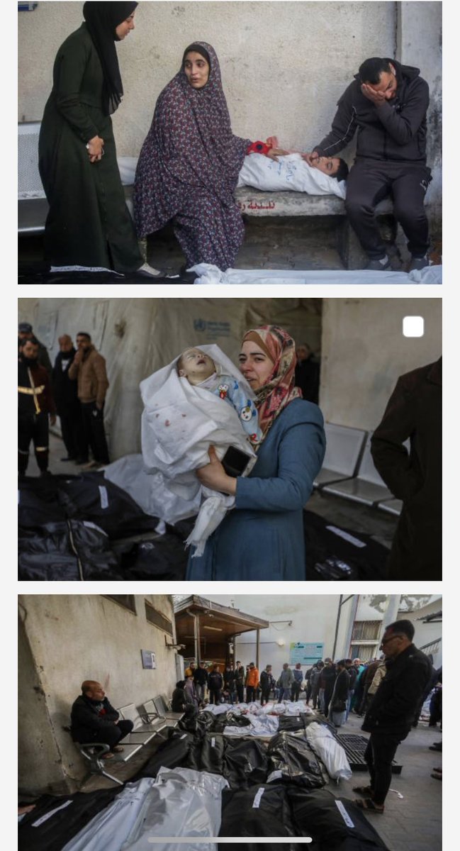 olgarodriguezfr's tweet photo. Rafah, #Gaza: 

Las imágenes que envían los fotoperiodistas de las agencias internacionales de noticias de más prestigio son estremecedoras. 

Los ataques de la pasada noche han sido más virulentos de lo habitual. Más de cien víctimas mortales, decenas de niños muertos y heridos https://t.co/EAx4tP57ZM