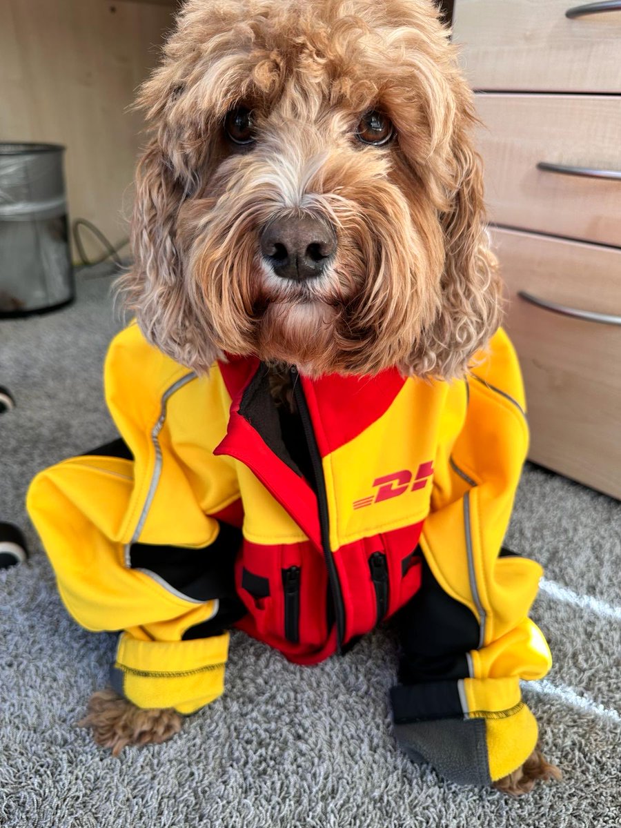 Cost of Living crisis !

We’re having to send Rocky out to work. 

⁦<a href="/BFBSRadioHQ/">BFBS Radio</a>⁩