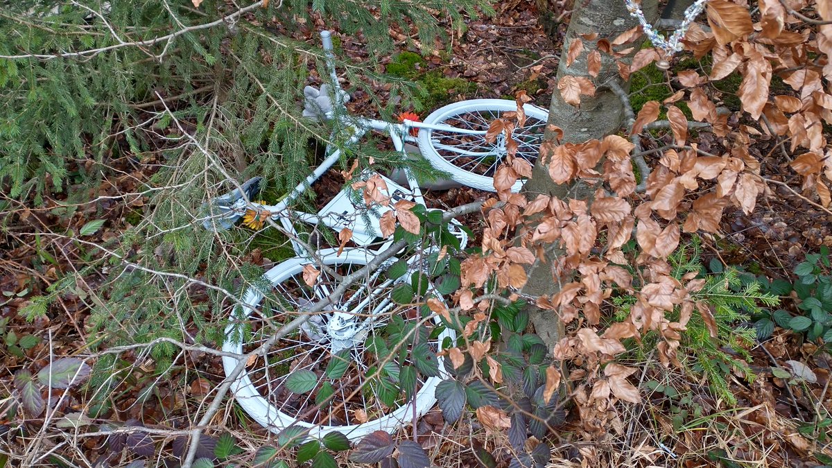 Kurierprinzess1's tweet photo. Am Morgen danach ist die Gedenkstätte an de #L574 #geschändet worden😡🤮
Bilder von heute Morgen🙈
#Polizei ist informiert und hat Anzeige aufgenommen bzw ermittelt schon https://t.co/d54P6CS6k5