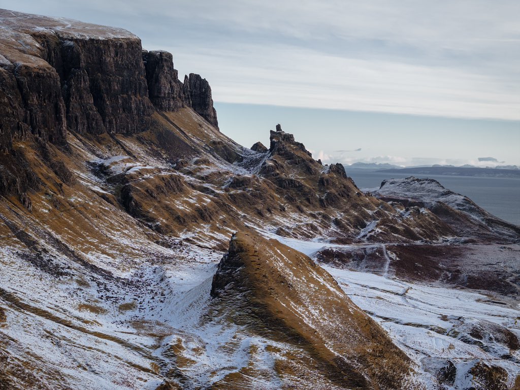 Alex Feal tweet media