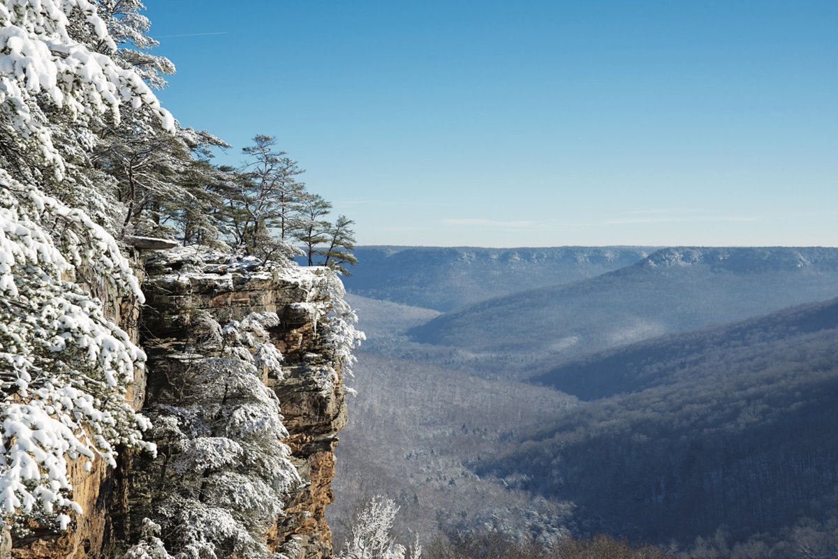 theTNmagazine's tweet photo. The newest Tennessee State Park - established in September 2022 - offers park visitors beautiful natural sights and hikes of all different difficulties. Find out more about Savage Gulf State Park here. (Photo by Jessica Reid) #TNParks #StateParkSpotlight https://t.co/fMl9vKxNWO https://t.co/oiVzu93K0i