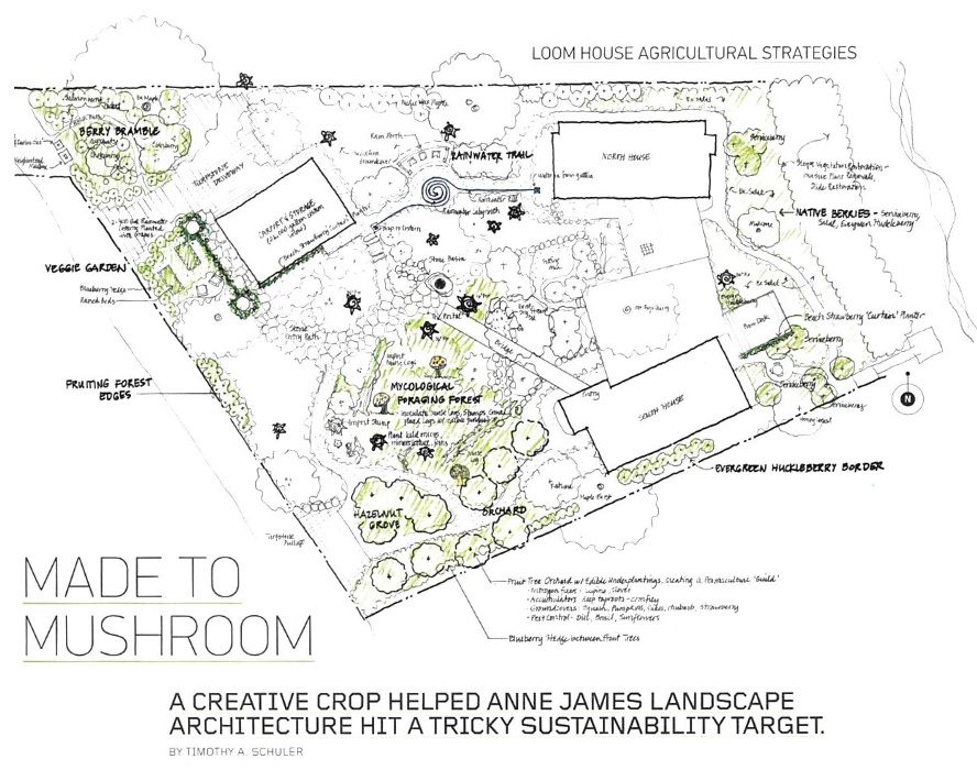 Biohabitats's tweet photo. There is some mighty mycology going on at the Loom House! Learn more about this unique home in @landarchmag https://t.co/10CPUOqoRt, and subscribe to read the full issue https://t.co/BnyB1W2rXc. 

Our role https://t.co/eSRTgpYVr4. @millerhull, @Living_Future https://t.co/44LbI2RW1J