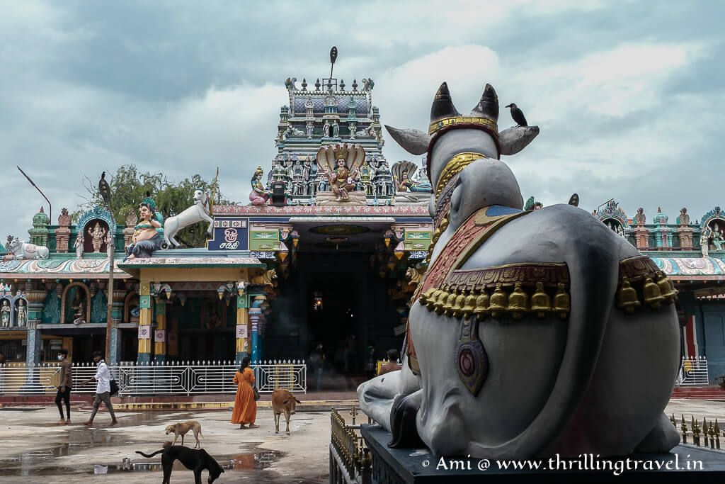amibhat's tweet photo. Ready to delve into the captivating stories of the awe-inspiring Nainativu Nagapooshani Amman Temple in stunning Sri Lanka? You won't believe the magic that awaits! Experience it for yourself  https://t.co/whzST3RAMx
#UntoldLegends
#ThrillingTravel
#SriLanka https://t.co/8uTKClzwBJ