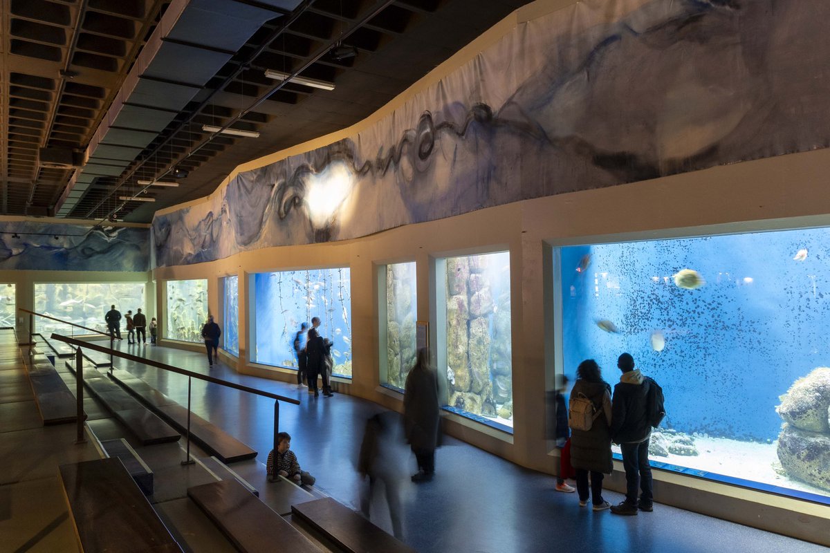 ConcelloCoruna's tweet photo. 🌊 O Concello conmemora o 25 aniversario do Aquarium Finisterrae cun gran lenzo ‘Atlántico’

👉🏻 A alcaldesa, Inés Rey, presentou esta mañá a obra do artista Manuel Suárez, única no país no seu formato

Máis info: https://t.co/ndHX5kFkKD https://t.co/En1CajpM87