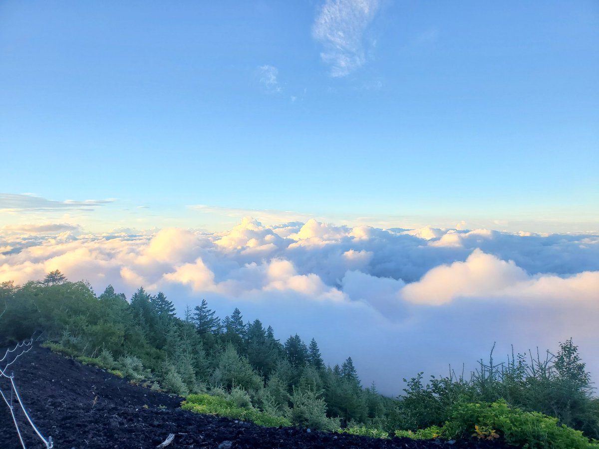 May_inWinter's tweet image. ❤
I'm asking those who love the outdoors to post a picture YOU took. Just a pic. No description. The goal is to regain peace and harmony without negativity. Please copy the text, post the pic, and let's look at these beautiful pictures.