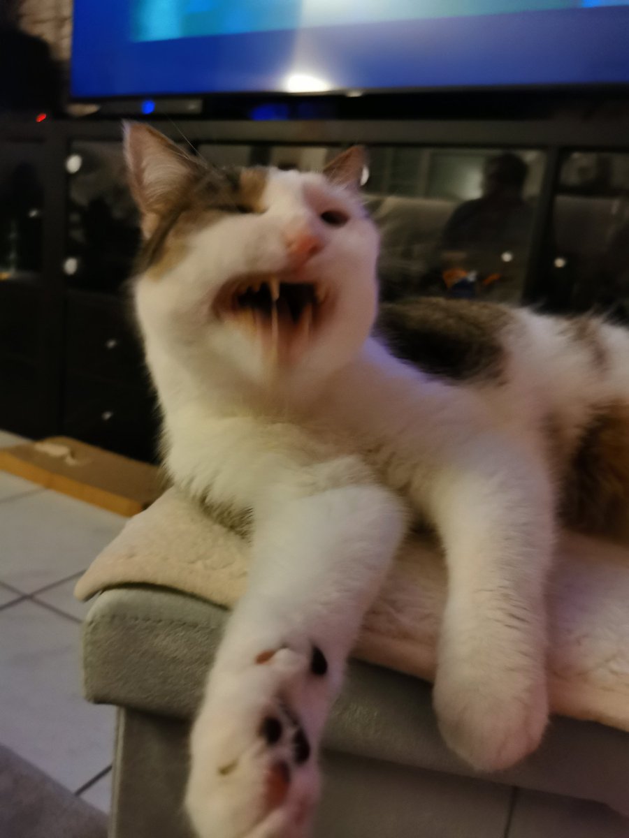 PanzerMarichen's tweet image. 