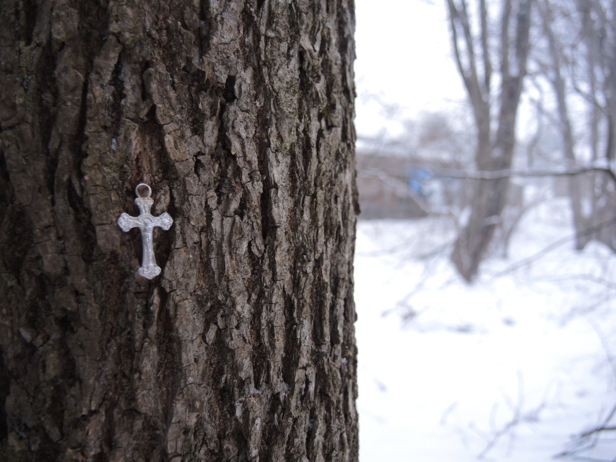 MadonnaHouse's tweet photo. Hear me declare with boldness, I am a Christian. #StPolycarp https://t.co/hEqqt0yMig