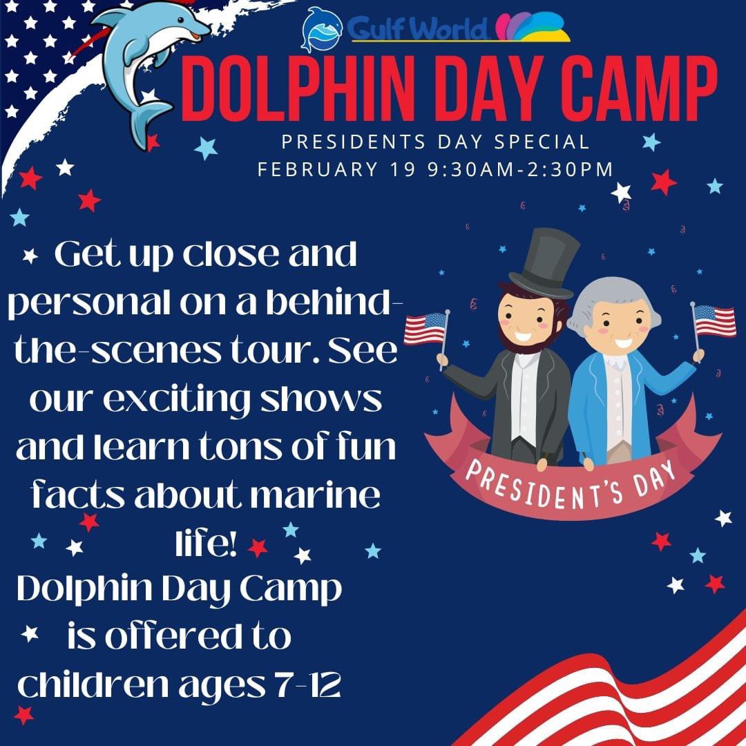 gulfworldPCB's tweet photo. Do your kids have plans for the Presidents’ Day holiday? We've got an idea: Dolphin Day Camp!

From 9:30am to 2:30pm on February 19th, our Dolphin Day Camp will introduce your kids to all Gulf World has to offer! A snack, lunch and photos are included!

https://t.co/dj0S4uQkBU https://t.co/WKdoQvaS4k