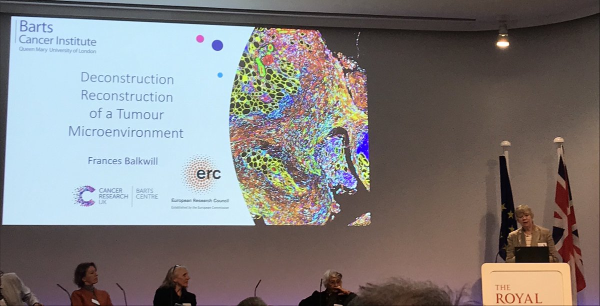 Prof <a href="/FrancesBalkwill/">Frances Balkwill</a> from the Bart’s Cancer Institute <a href="/QMBCI/">Barts Cancer Institute (Queen Mary)</a> (a key partner in our CRUK London Centre) shared the impact of EU funding on her team’s work.

A decade ago she applied for an ERC Advance Grant which supports high risk work to model a human tumour.