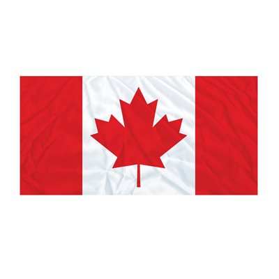 RoyalCdnLegion's tweet image. Today, we celebrate Canada’s National Flag, the cultural heritage that it represents, and we remember the men and women of our military who have protected and continue to protect our country’s rights and freedoms.

To learn more, please visit: canada.ca/en/canadian-he…