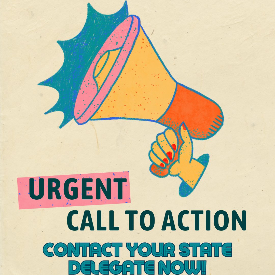 Please take 10 minutes today to complete this VAASL Call To Action that will benefit school librarians across Virginia! We need you to send ONE email to your State Delegate to encourage them to support HB 677.
VAASL sent an email with more information and a message template.