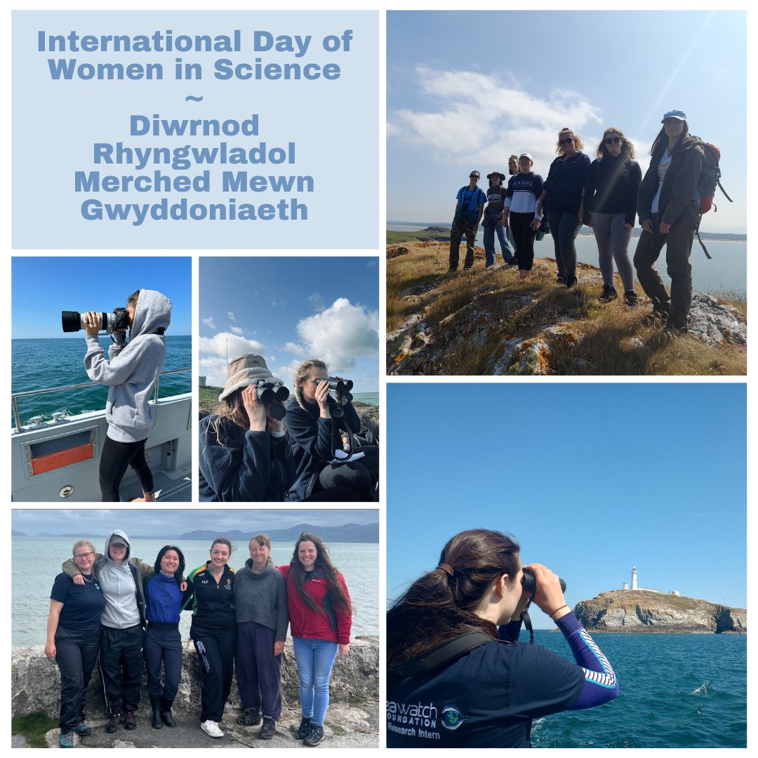 Seawatch_mon's tweet photo. Yesterday we celebrated #internationaldayofwomeninscience 👩‍🔬🐬

We are so proud to be able to offer women the training, support, and skills needed to break into the world of marine conservation https://t.co/W0rcfSYVmo