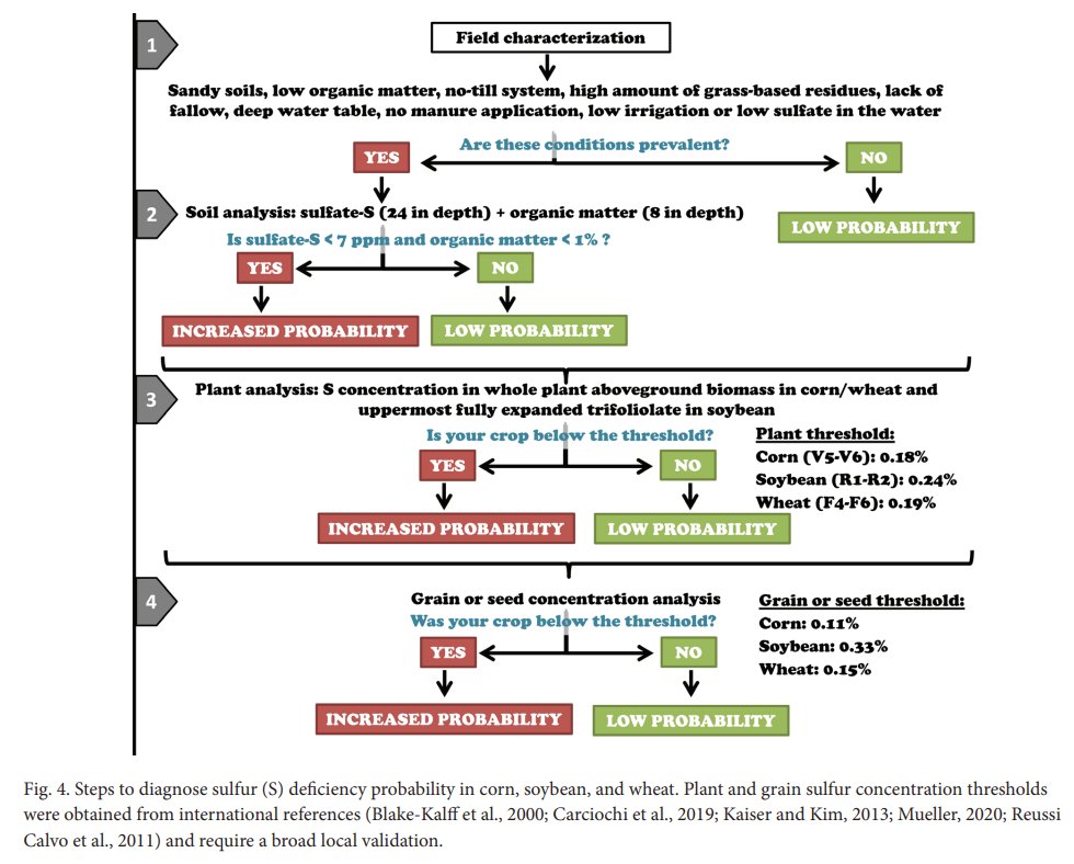 New NebGuide covers how to manage sulfur in agricultural systems in Nebraska.
✅Overview of the S cycle in agroecosystems and its implications on S management; A four-step guide to diagnosing S deficiency; The 4Rs of S fertilization.
Click here to access: extensionpubs.unl.edu/publication/21…