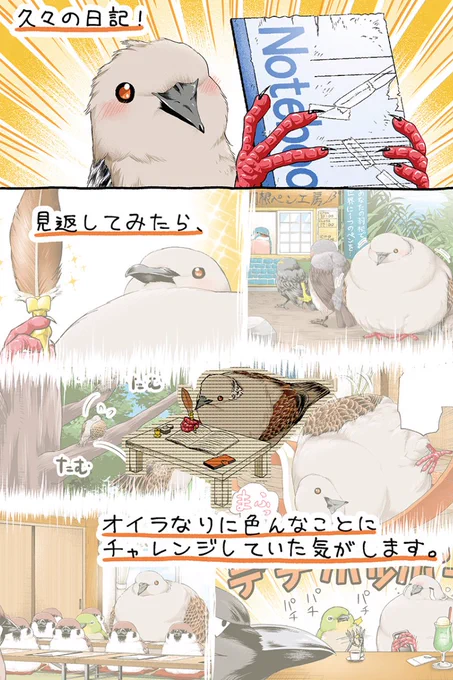 デデポッポ～  #キジバトくん日記 その30