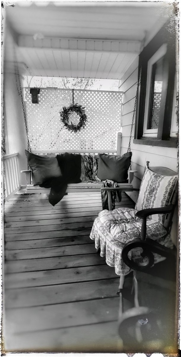 Gossamer 

Monday morning transparency

a rainstorm 
bashes, petals.. grey

my thoughts wrapped in 
clear-cut stillness 
and gauzy verse

Nonetheless -      I'm happy

#vss #MondayMood